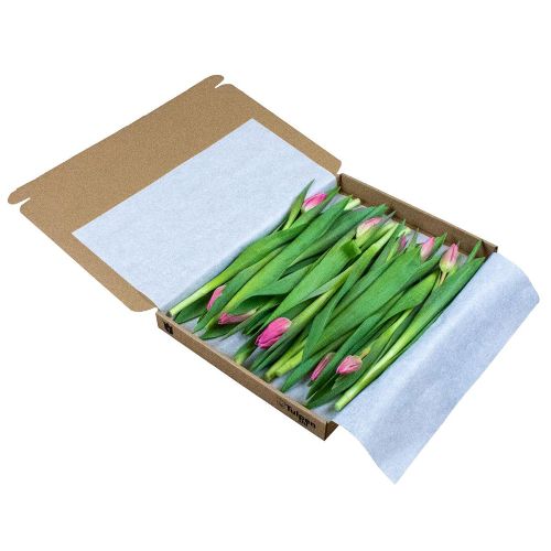 Tulpen in doosje - Afbeelding 3